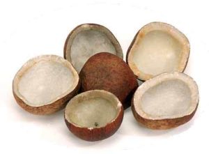 Split Dried Coconut