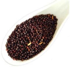 Small Mustard Seeds