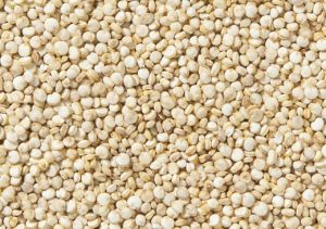 white quinoa seeds