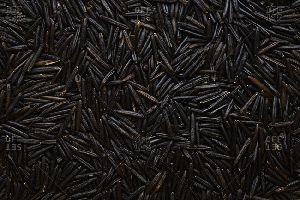 Indian Black Rice