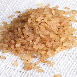 Organic Brown Rice