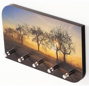 Vivid Art Work Key Holder