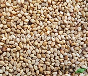 Sesame Seeds