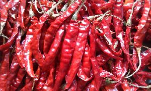 natural dried red chilli