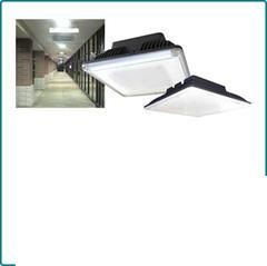 Led Canopy Light