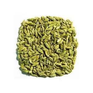 Green Saunf Seeds