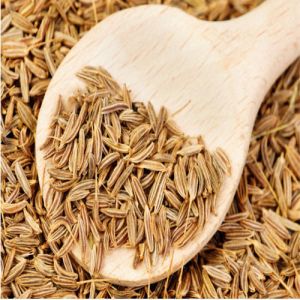 Indian Cumin Seeds