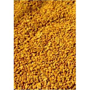 indian fenugreek seeds