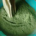 Wheat Grass Powder