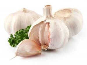 natural garlic