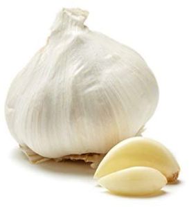 Organic Garlic