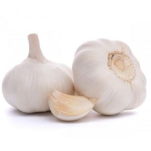 White Garlic