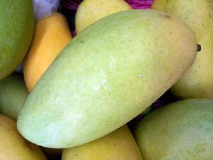 Langra Mango