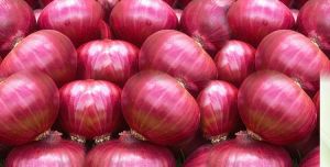 Pure Organic Red Onion