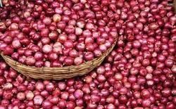 Small Red Onion