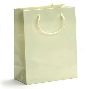 Laminated Paper Carry Bag