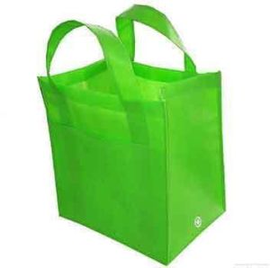 Non Woven Carry Bag