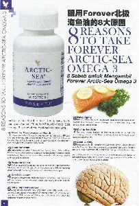 Arctic Sea