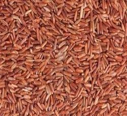 Red Non Basmati Rice