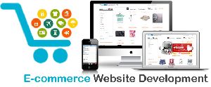 E-Commerce Enabled Website Designing Service