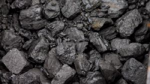 Premium Coke Coal