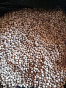 Raw White Pepper