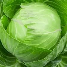 Natural Cabbage