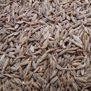 whole cumin seeds