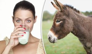 Healthy Donkey Milk