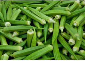 Organic Okra