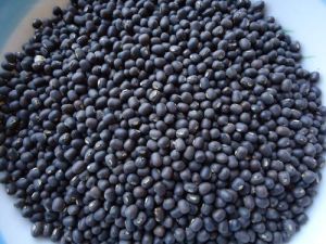 Organic Black Urad dal