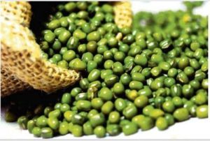 Organic Green Urad Dal