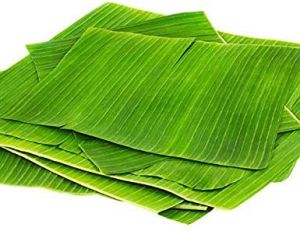 Banana Leaves,Fresh banana leaf