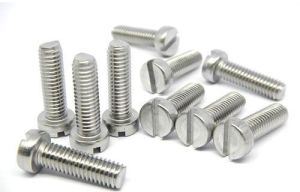 SS PAN HEAD SCREW