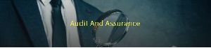 Audit & Assurance Services