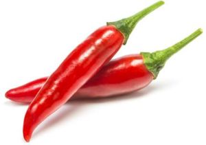 Chilli