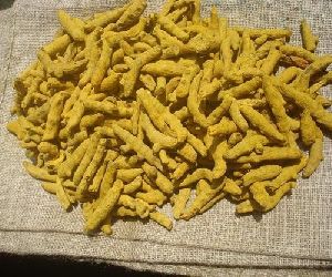 Raw Turmeric Finger