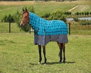 weight Turnout horse rugs