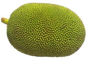 Natural Jackfruit