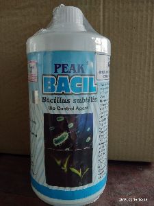 Peak Bacil