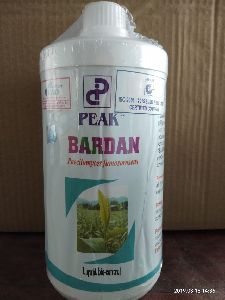 Peak Bardan