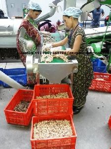 Raw Cashew Nut Grader ,Raw Cashew Nut Grading