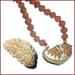 1 Mukhi Rudraksha