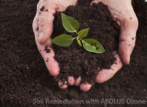 Soil Remediation with Ozone by Aeolus