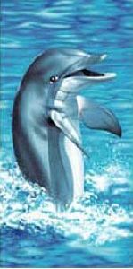 Dolphin printed beach towel, microfiber bath towel