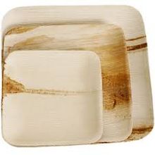 natural biodegradable disposable palm leaf plate