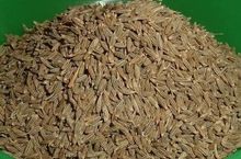 Cumin Seeds