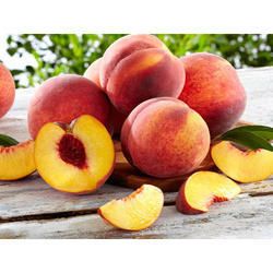 Nectrine Peach