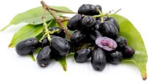 Thai Jamun