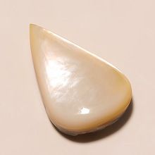 India Semi precious Pear Shape Natural White Shell Stone